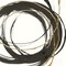 Gilded Enso Ii Poster Print by Chris Paschke - Item # VARPDX34702